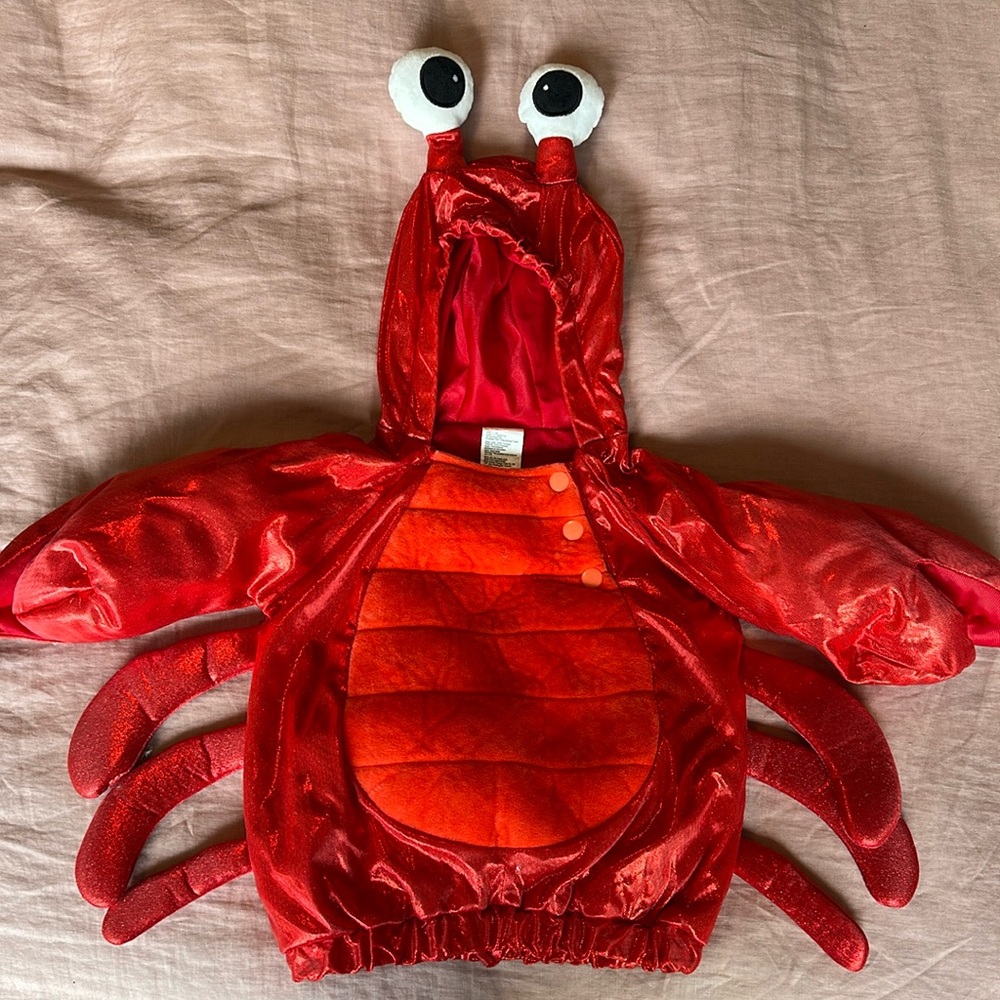 Baby lobster (or crab) costume